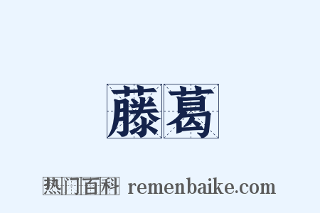 藤葛是什么意思的图片